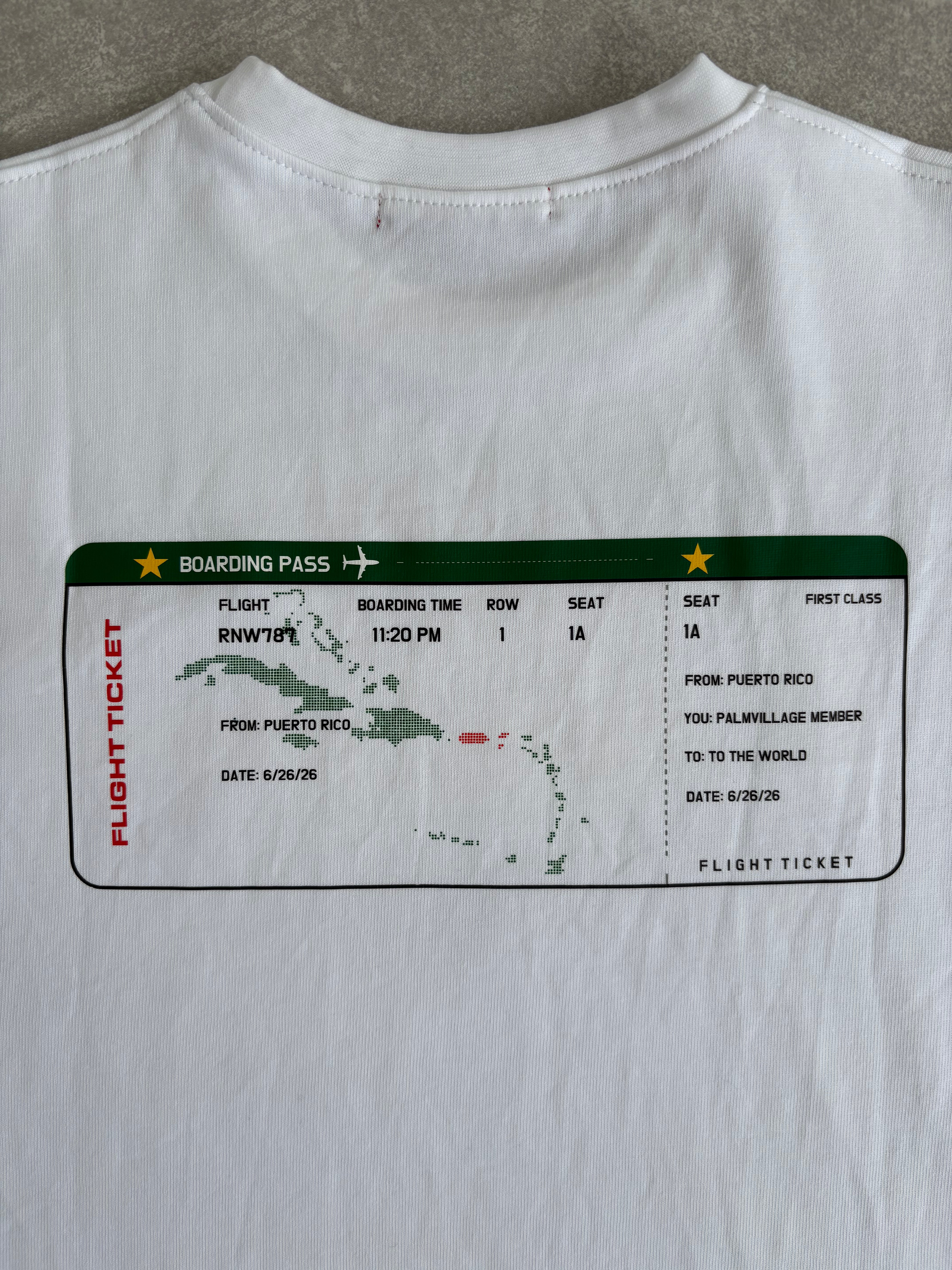 PALM AIRLNES TEE